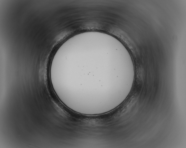 X0000086790629200705111816