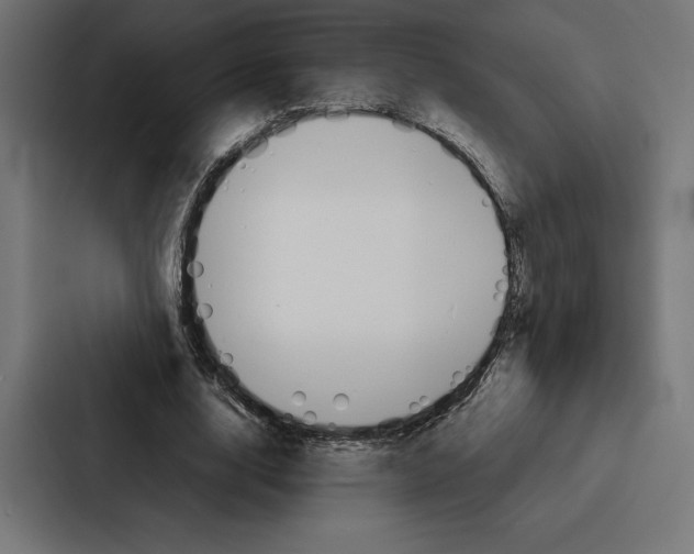 X0000086790632200705111816