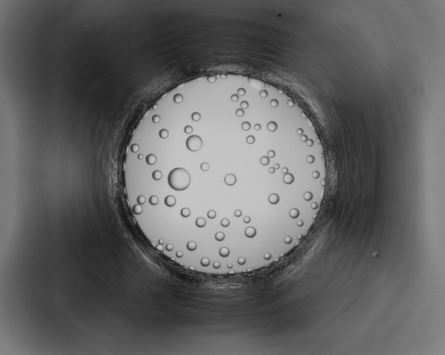 X0000086790633200705111816