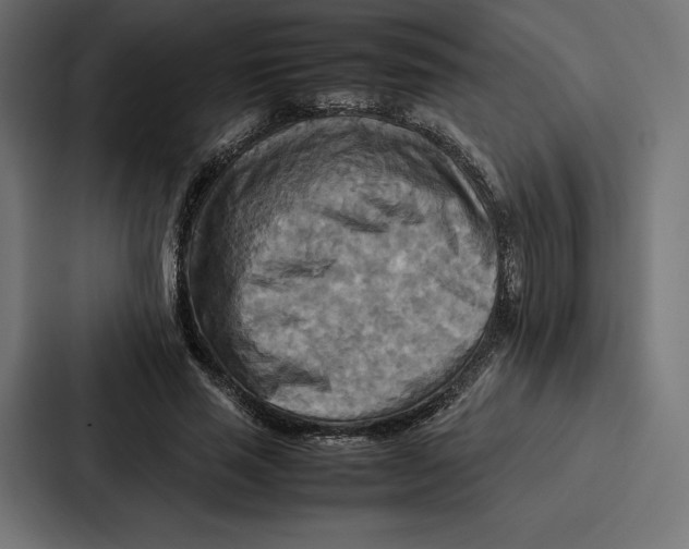 X0000086790637200705111816