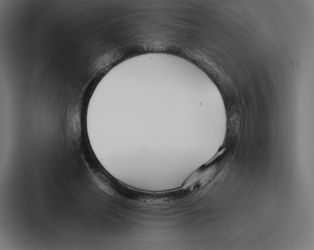 X0000086790638200705111816