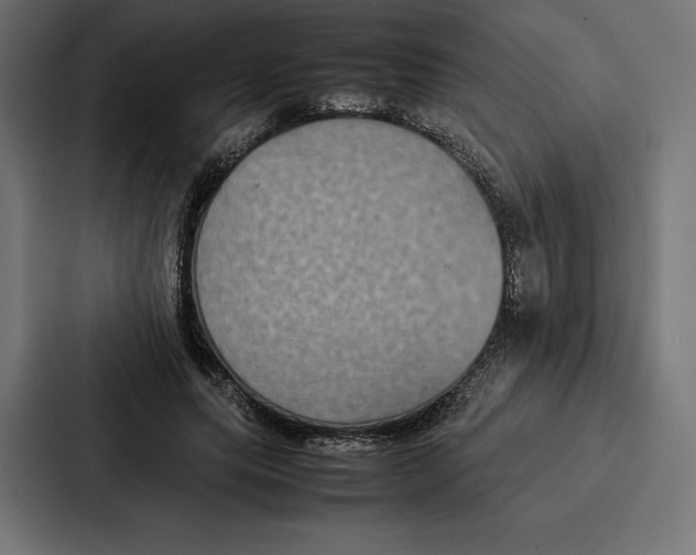 X0000086790639200705111816