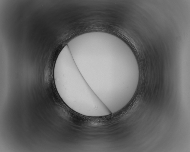 X0000086790641200705111816