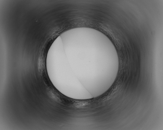 X0000086790642200705111816