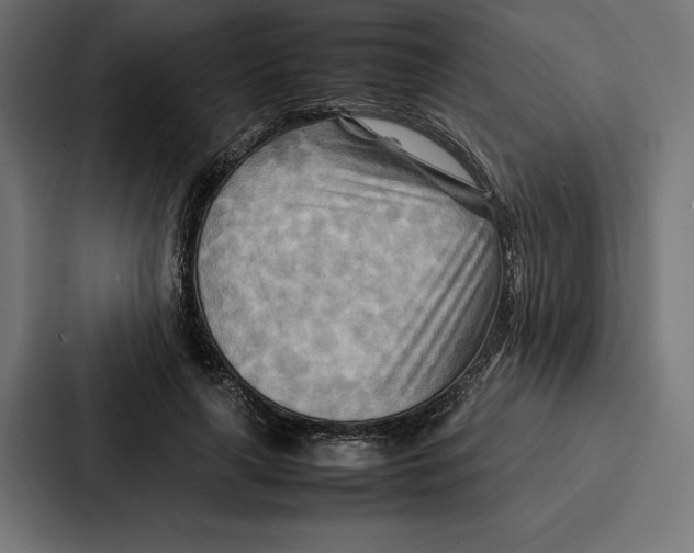 X0000086790643200705111816