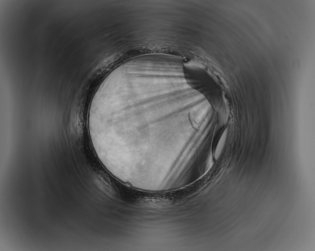 X0000086790644200705111816