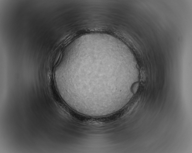 X0000086790648200705111816