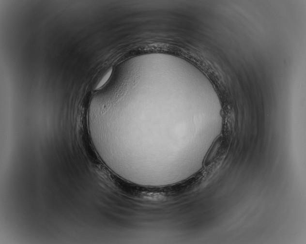 X0000086790649200705111816