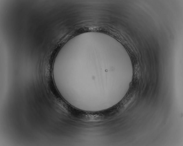 X0000086790650200705111816