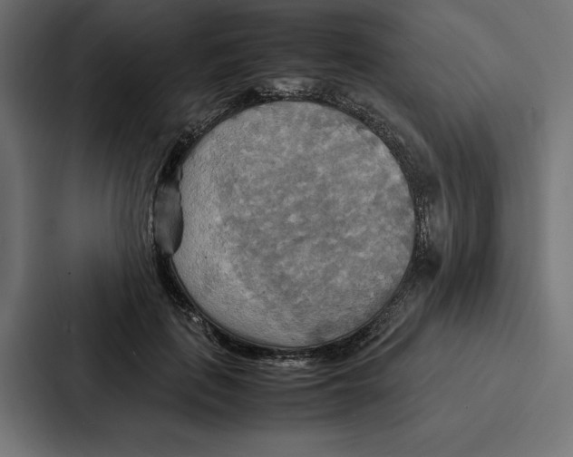 X0000086790651200705111816