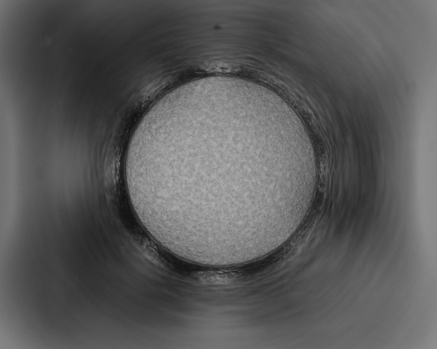 X0000086790652200705111816