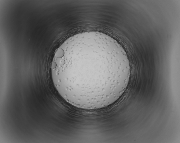 X0000086790654200705111816