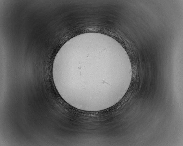 X0000086790655200705111816