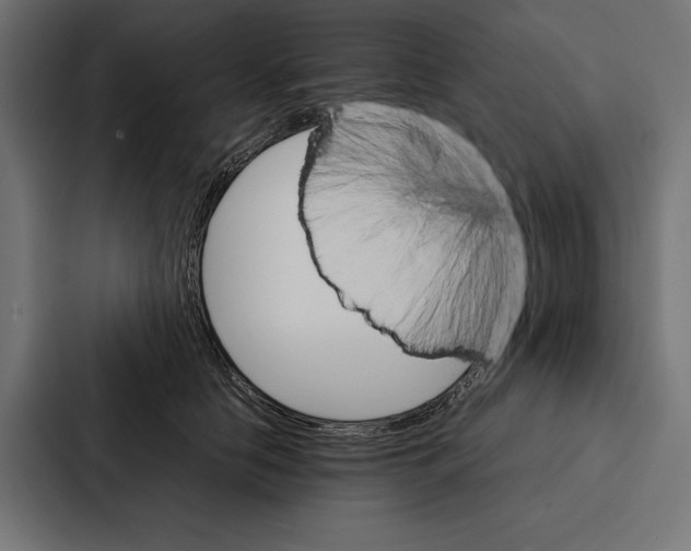 X0000086790658200705111816