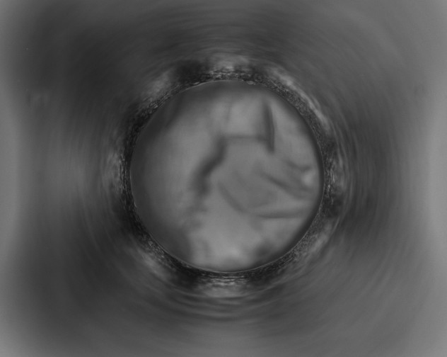 X0000086790659200705111816