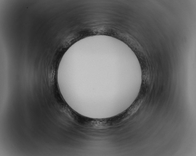 X0000086790660200705111816