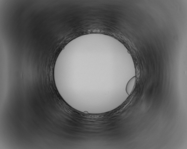 X0000086790661200705111816