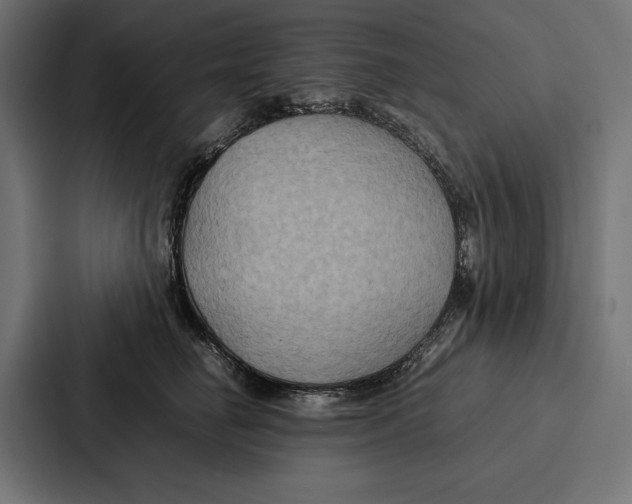 X0000086790662200705111816