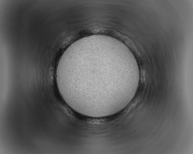 X0000086790664200705111816