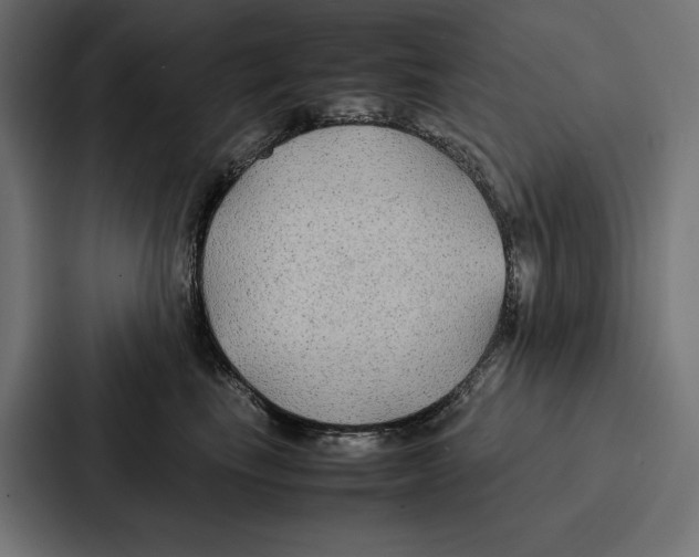 X0000086790665200705111816