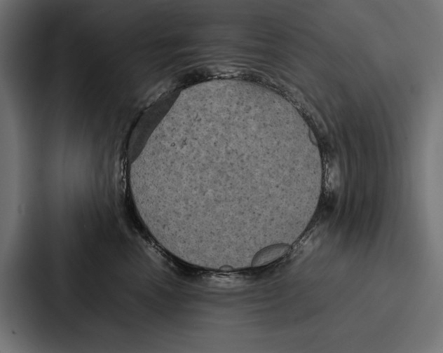 X0000086790666200705111816