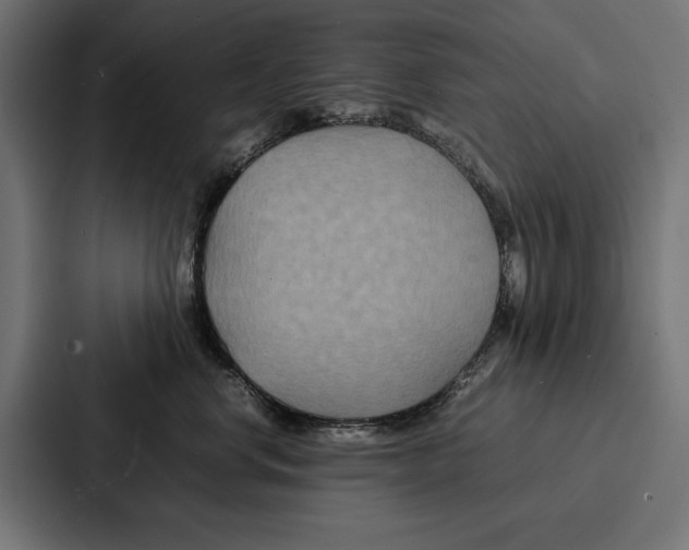 X0000086790668200705111816