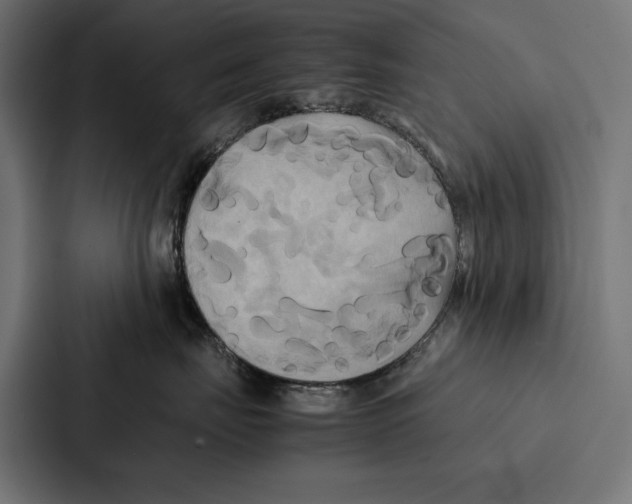 X0000086790671200705111816