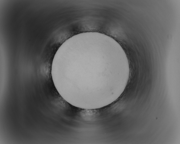 X0000086790672200705111816