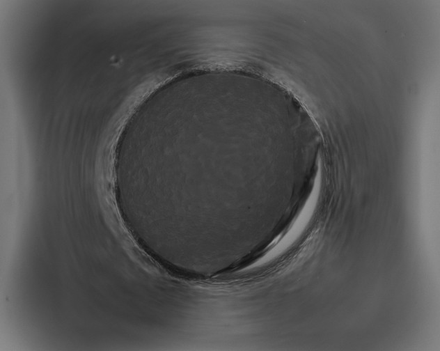 X0000086790673200705111816