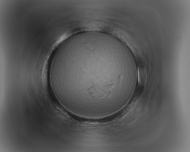 X0000086790675200705111816