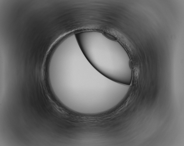 X0000086790676200705111816