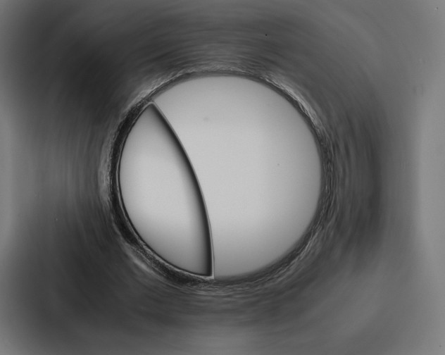 X0000086790677200705111816