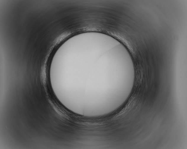 X0000086790678200705111816