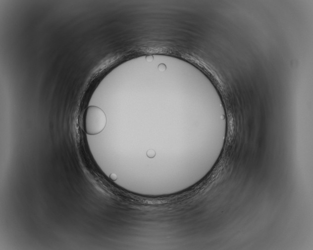 X0000086790682200705111816