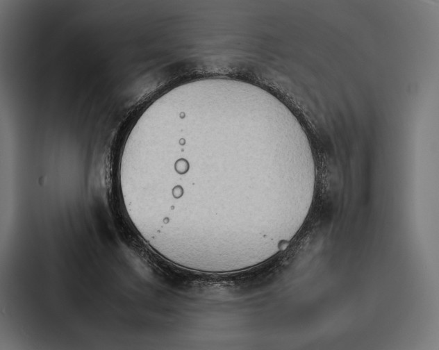 X0000086790683200705111816