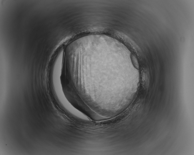 X0000086790684200705111816