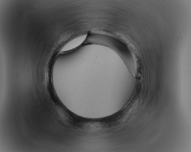 X0000086790685200705111816