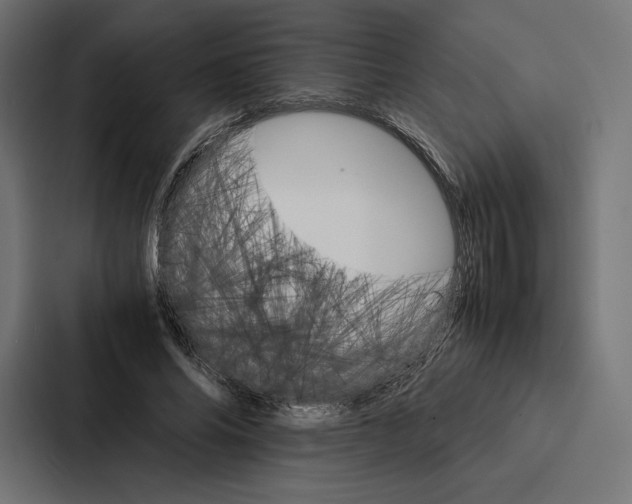 X0000086790686200705111816