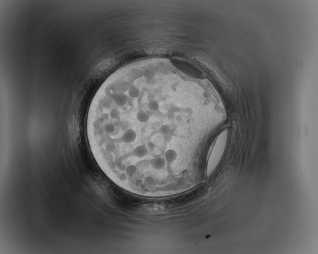 X0000086790687200705111816