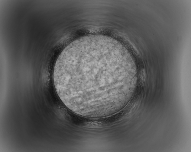 X0000086790691200705111815