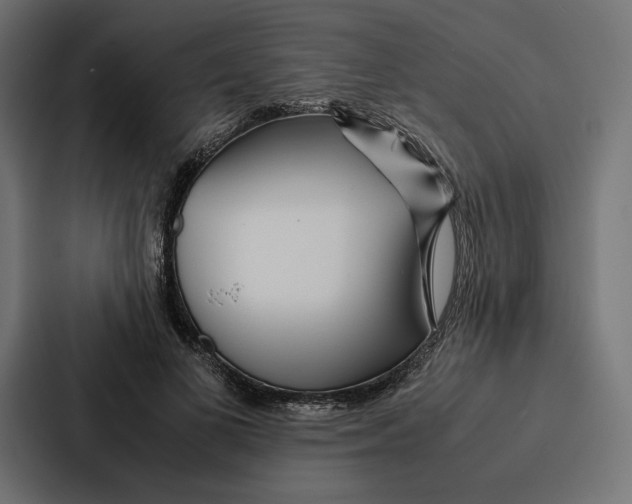 X0000086790693200705111815