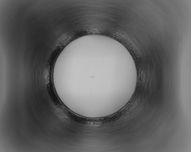 X0000086790694200705111815