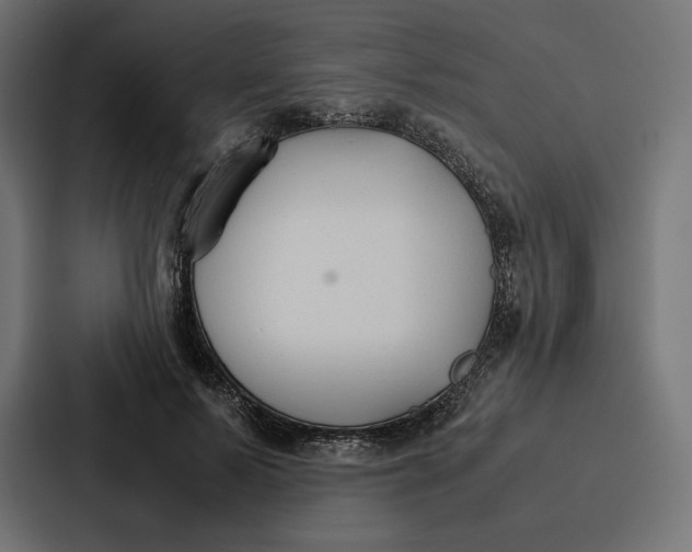 X0000086790695200705111815