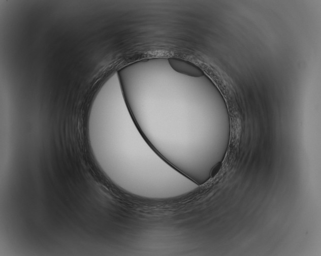 X0000086790696200705111815