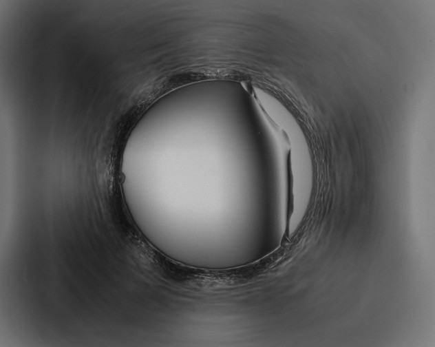 X0000086790697200705111815