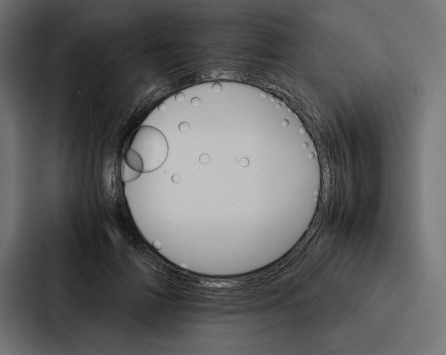 X0000086790698200705111815