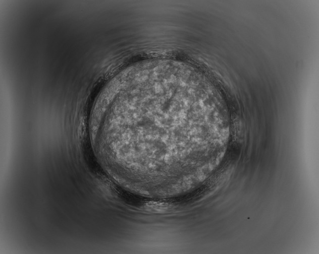 X0000086790699200705111815