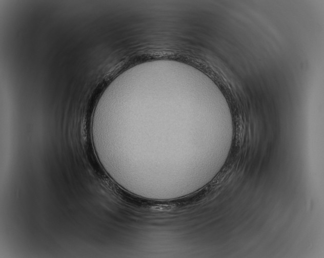 X0000086790700200705111815