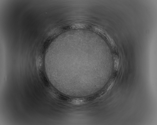 X0000086790701200705111815