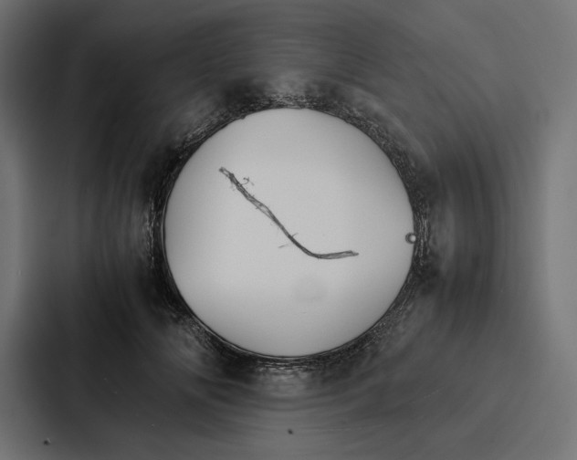 X0000086790702200705111815